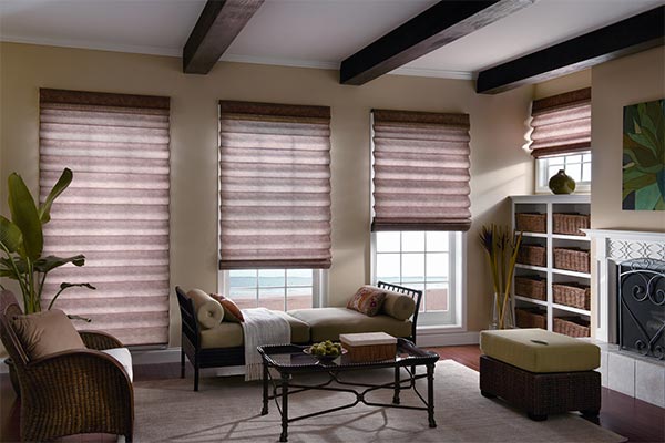 Roman Shades in Living Room