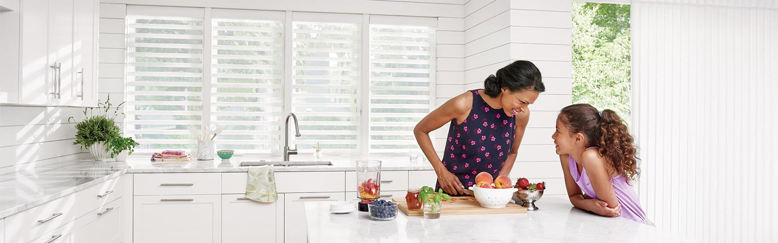Transitional Shades Installed in Kitchen
